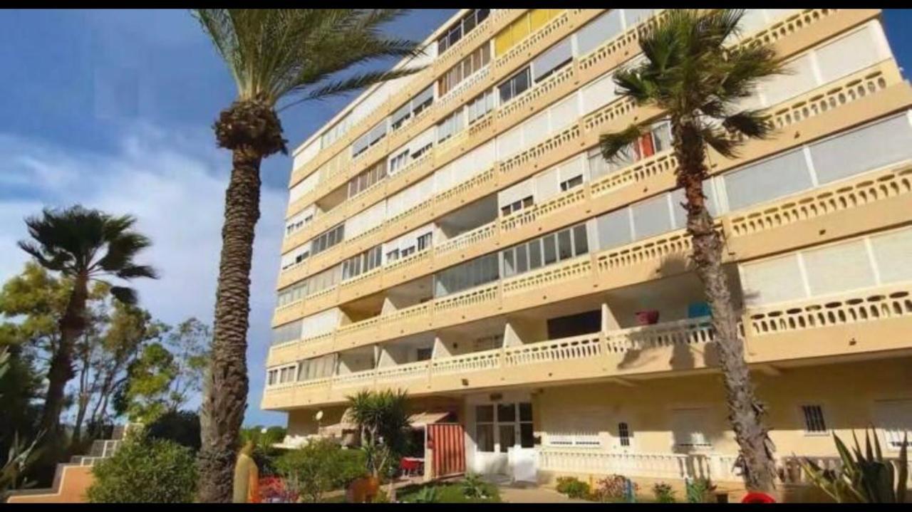 Espacioso Estudio Cerca De La Playa La Mata La Mata  Dış mekan fotoğraf